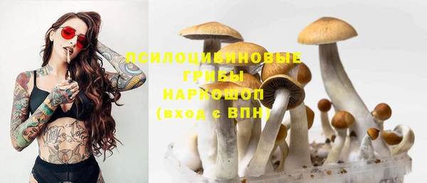 хмурый Ладушкин