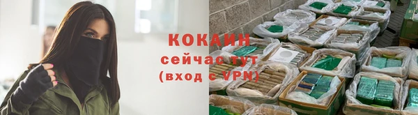 дживик Лабытнанги
