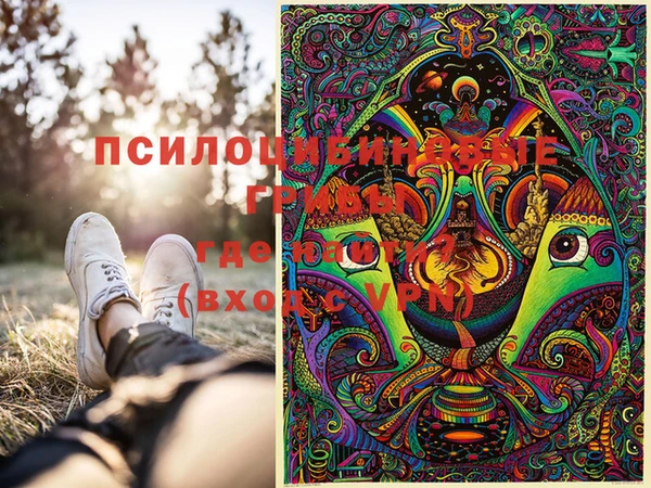 дживик Лабытнанги