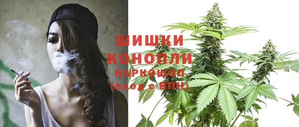хмурый Ладушкин