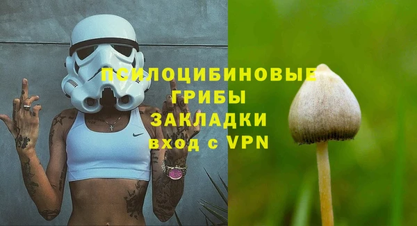 хмурый Ладушкин