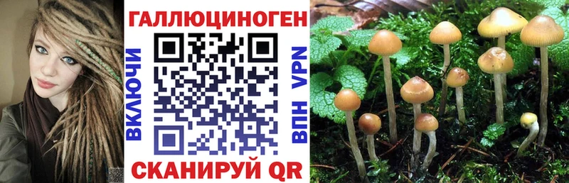 Псилоцибиновые грибы Psilocybine cubensis купить сайты Юрьев-Польский